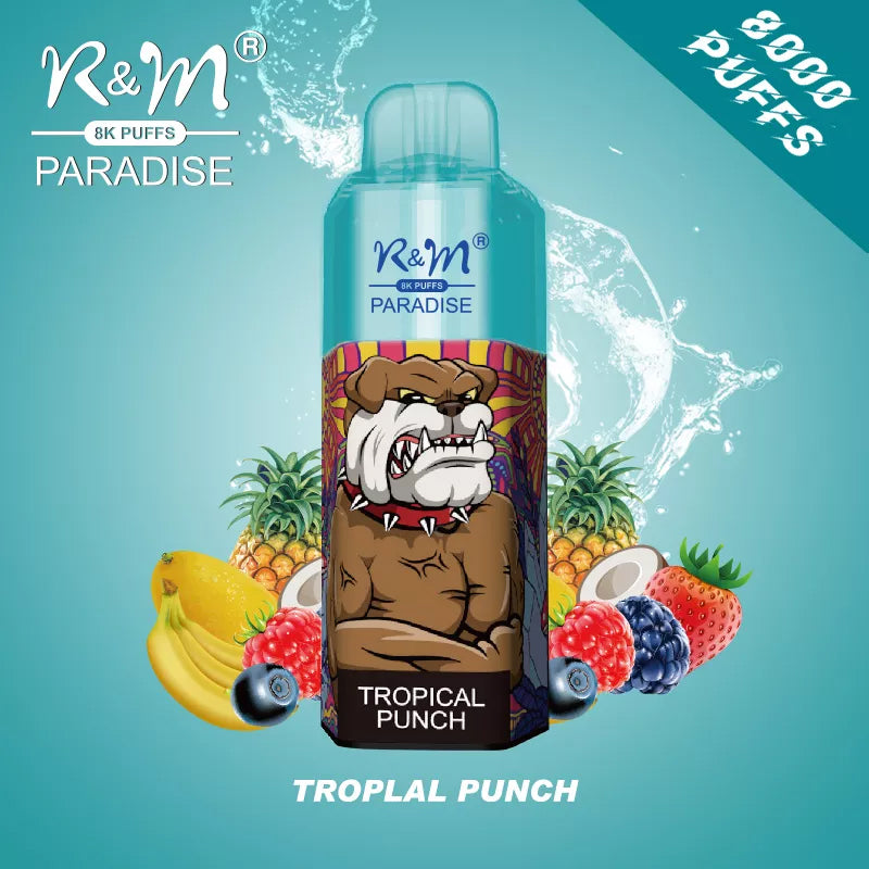 Original R&M Paradise 8000 puffs 15ml Vape Pen with RGB light Device Kit (Free Shipping)